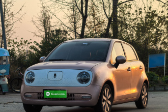 欧拉黑猫 2021款 351km 豪华型