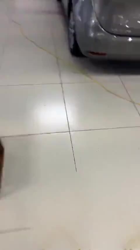 别克GL6 2019款 18T 6座互联豪华型 国VI讲解1