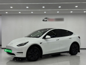 特斯拉 Model Y 2023款 长续航全轮驱动版