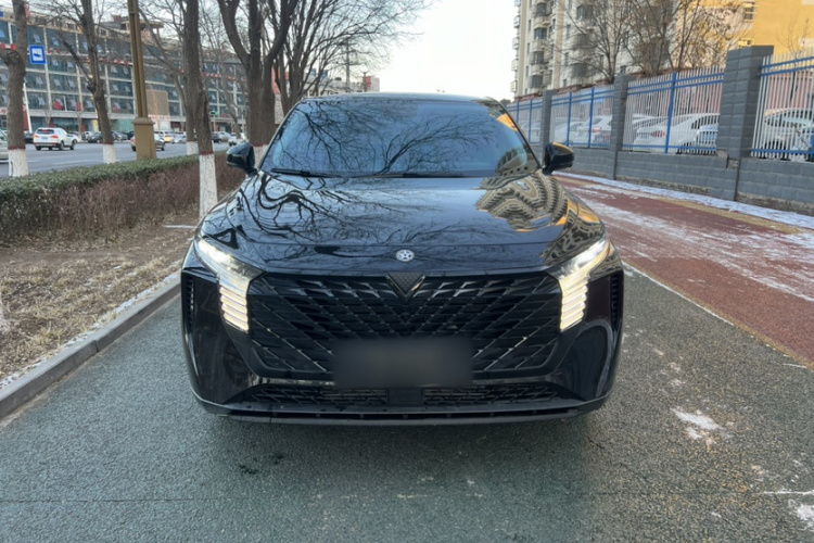 启辰大V 2023款 260T 黑马版 Pro车身外观6001