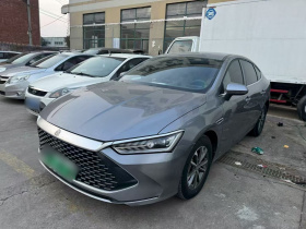 比亚迪 秦PLUS 2024款 荣耀版 DM-i 55KM领先型