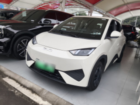 比亚迪 海鸥 2025款 智驾版 305km 活力版