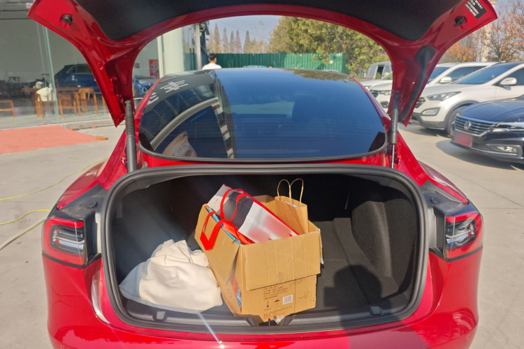 特斯拉 Model 3 2021款 标准续航后驱升级版 3D6机舱底盘23