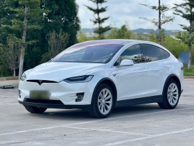 特斯拉 Model X 2019款 长续航版