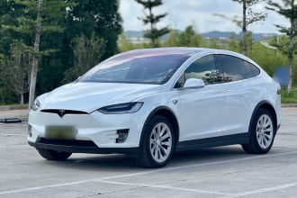 特斯拉 Model X 2019款 长续航版