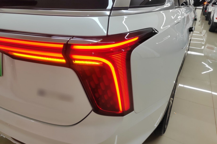 红旗E-HS9 2022款 660km 旗畅版 六座车身外观9