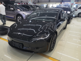 特斯拉 Model 3 2023款 长续航全轮驱动版