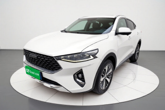 哈弗F7x 2019款 1.5T 两驱极智潮玩版
