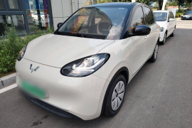 五菱汽车 五菱缤果 2023款 203km 轻享款