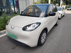 五菱汽车 五菱缤果 2023款 203km 轻享款