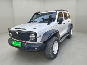 坦克300 2023款 2.0T 铁骑02