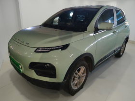 大运 悦虎 2022款 300 标准版