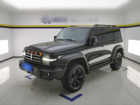 坦克300 2021款 越野版 2.0T 征服者