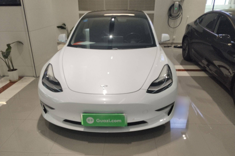 特斯拉 Model 3(进口) 2019款 长续航后驱版车身外观2