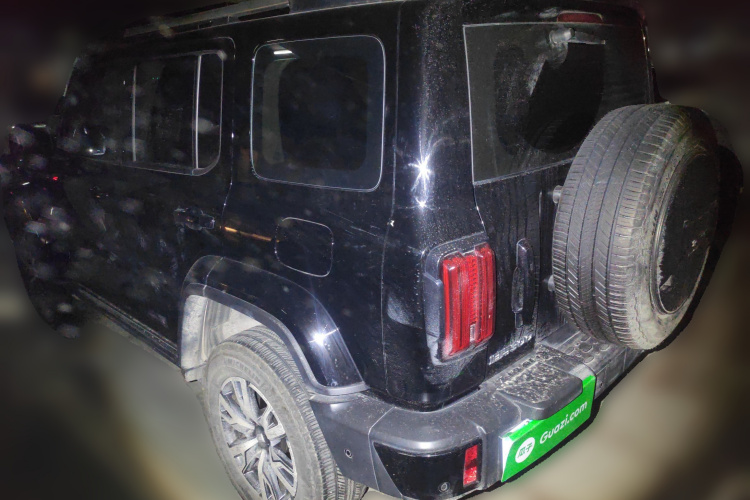 坦克300 2024款 2.0T 穿越者车身外观5