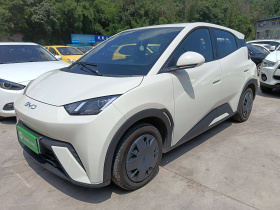 比亚迪 海鸥 2025款 305km 活力版