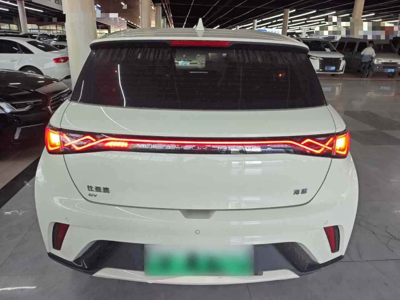比亚迪 海豚 2025款 420km 活力版(4)