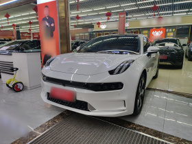 极氪001 2022款 超长续航单电机 WE版