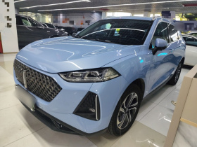 魏牌 玛奇朵DHT-PHEV 2021款 1.5L 大师版
