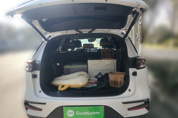 比亚迪 唐新能源 2021款 DM-i 112KM 尊荣型局部细节23