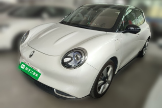 欧拉好猫 2021款 400km标准续航 维纳斯版 磷酸铁锂