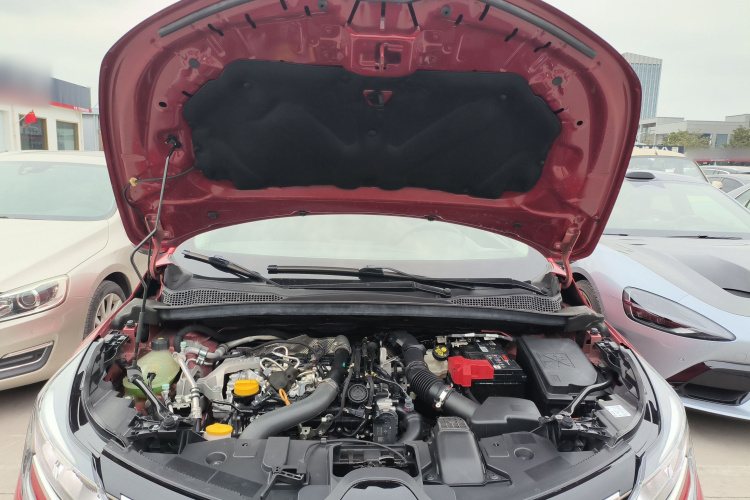 雷诺 科雷缤 2019款 TCe270 自动劲擎型局部细节24