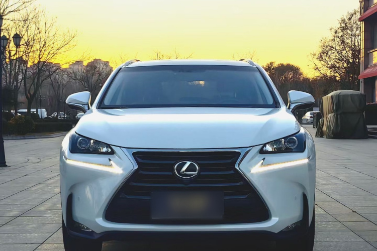雷克萨斯NX 2016款 200 全驱 锋尚版车身外观6001