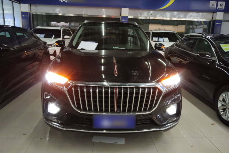 红旗HS5 2019款 2.0T 智联旗领四驱版车身外观6001