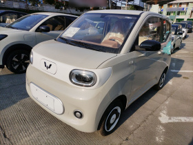 五菱汽车 宏光MINIEV 2024款 第三代 215km 青春版