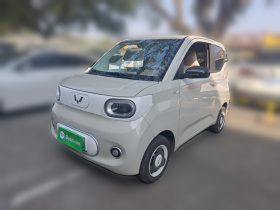 五菱汽车 宏光MINIEV 2024款 第三代 215km 青春版