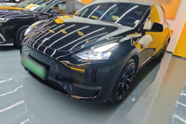 特斯拉 Model Y 2021款 标准续航后驱版