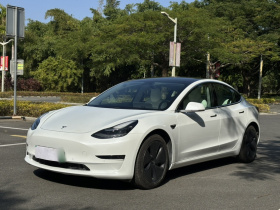 特斯拉 Model 3(进口) 2019款 长续航全轮驱动版