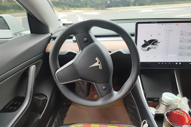 特斯拉 Model 3 2019款 标准续航后驱升级版局部细节13