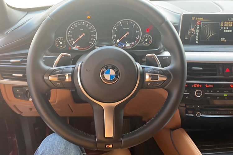 宝马X6 2015款 xDrive35i 领先型局部细节13