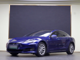 特斯拉 Model S 2019款 长续航版