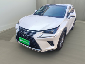 雷克萨斯NX 2020款 300 前驱 锋行版 国V
