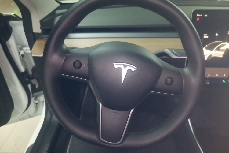 特斯拉 Model 3 2020款 改款 长续航后轮驱动版中控内饰13