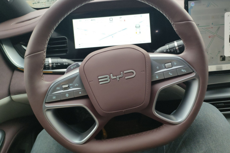 比亚迪 海豹07 DM-i 2025款 智驾版 DM-i 1.5L 125km 尊贵型局部细节13