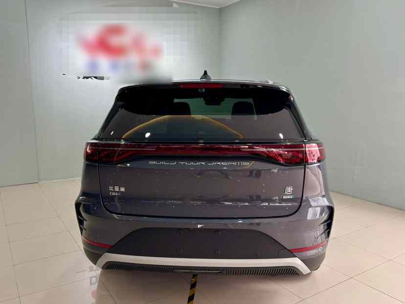 比亚迪 唐新能源 2025款 智驾版 DM-i 115KM 旗舰型(5)