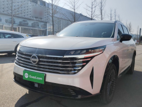 日产 探陆 2024款 380VC-TURBO 四驱智尊版 6座