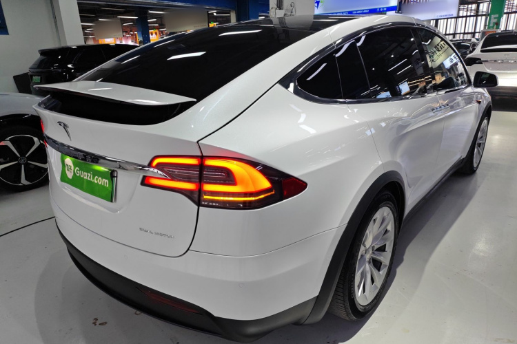 特斯拉 Model X 2020款 长续航升级版车身外观7