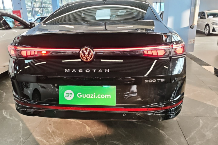 大众 迈腾 2024款  300TSI DSG尊享版显眼包车身外观6