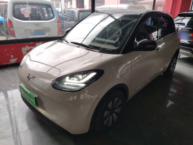 五菱汽车 五菱缤果 2023款 333km 悦享+款