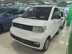 五菱汽车 宏光MINIEV 2020款 悦享款 磷酸铁锂