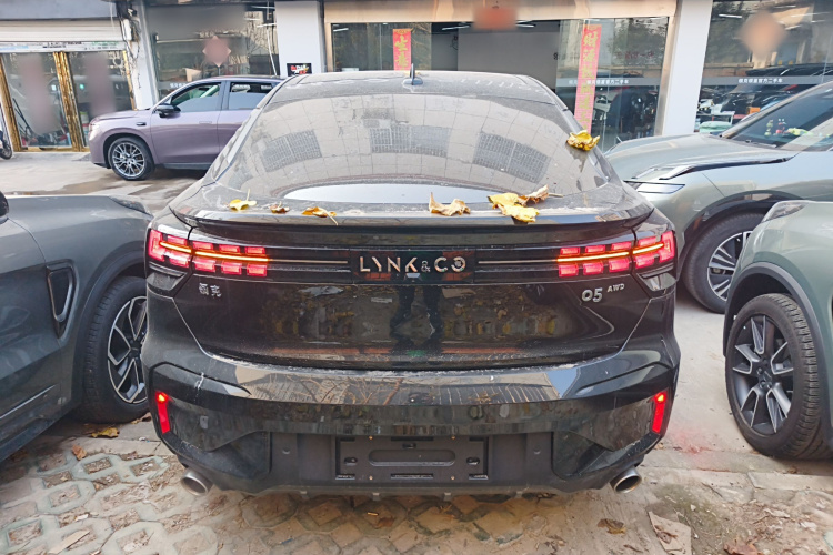 领克05 2022款 2.0TD 四驱劲Halo车身外观6004