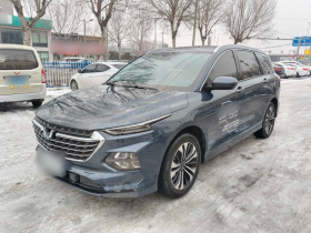 五菱汽车 五菱凯捷 2022款 280T 1.5T CVT旗舰型