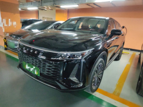 星途 瑶光C-DM 2024款 1.5T 长续航Pro