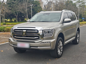 坦克500新能源 2024款 Hi4-T