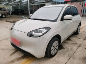 五菱汽车 五菱缤果 2023款 203km 轻享款