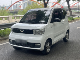 五菱汽车 宏光MINIEV 2021款 马卡龙时尚款 三元锂